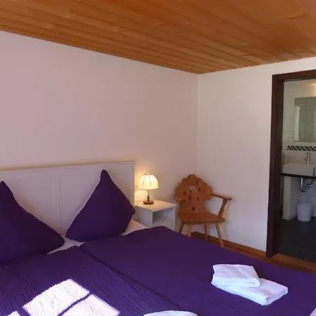 Sleeps 12 Wifi Ferienhaus Lauterbrunnen